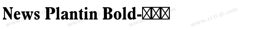 News Plantin Bold字体转换